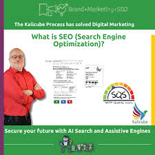 seo search marketing