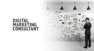 internet marketing consultant