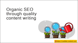 organic search engine optimisation