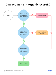 organic search engine optimization