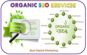 organic seo agency