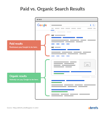 organic search engine rankings