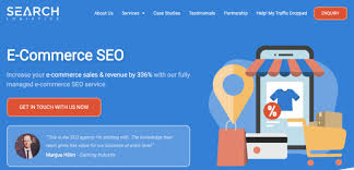 ecommerce seo services
