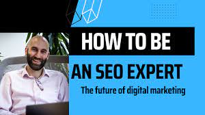 consultant internet marketing seo